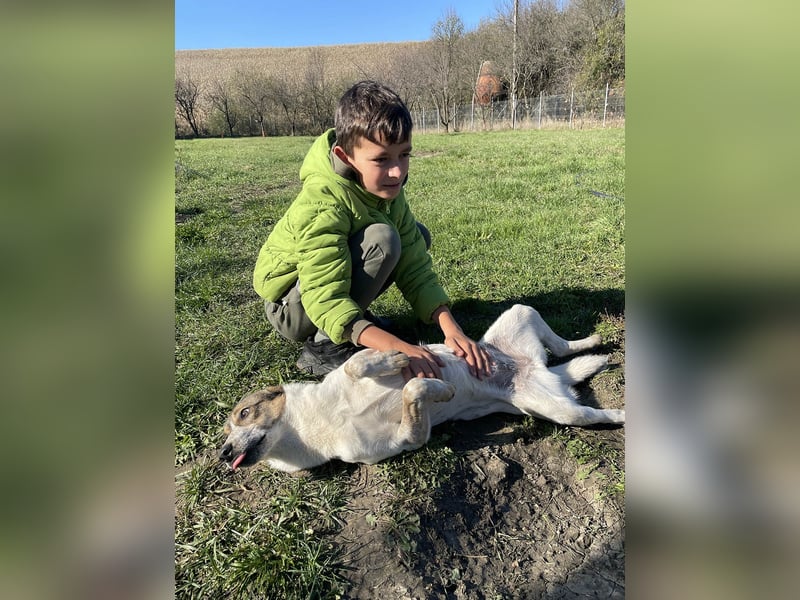 Aufgeschlossene Freya sucht liebe Familie