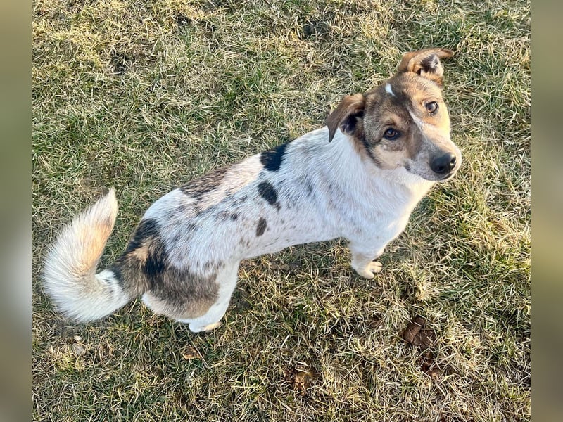 Aufgeschlossene Freya sucht liebe Familie