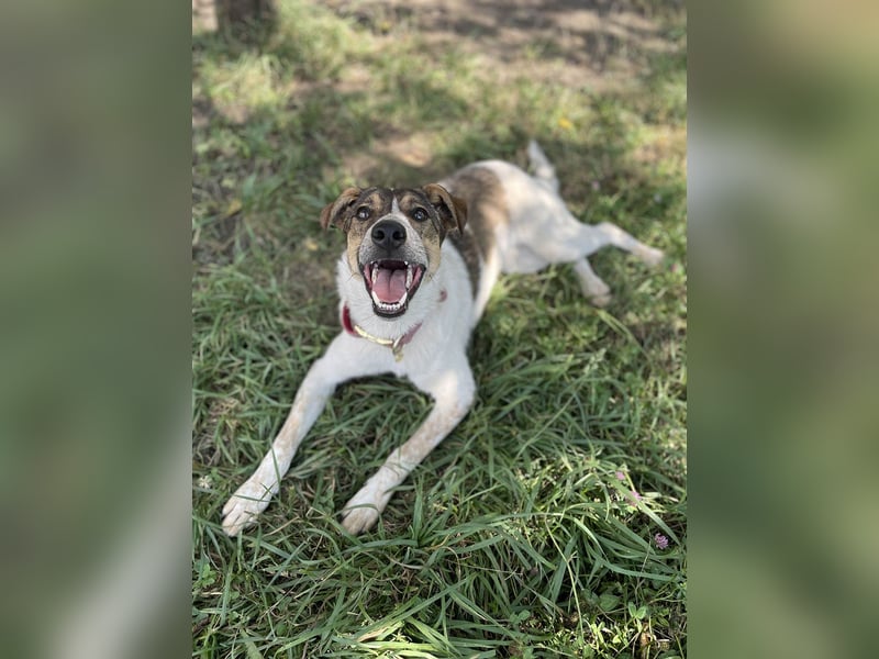 Aufgeschlossene Freya sucht liebe Familie