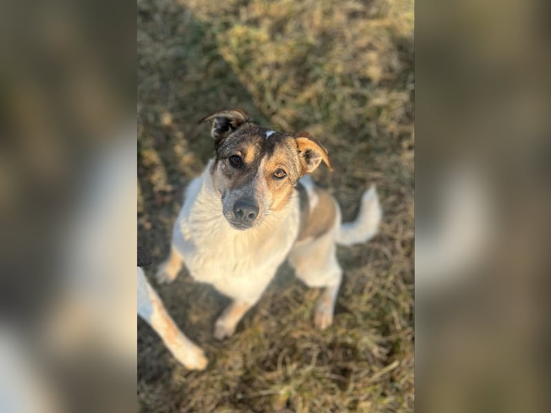 Aufgeschlossene Freya sucht liebe Familie