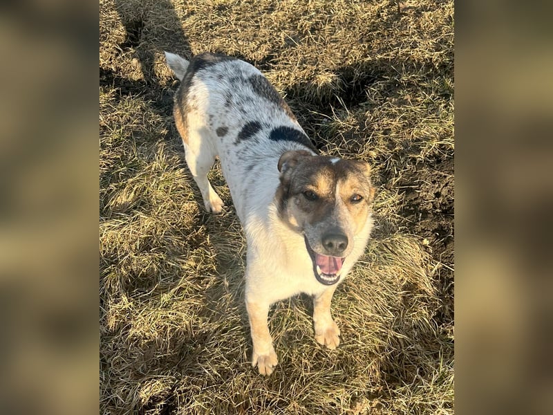 Aufgeschlossene Freya sucht liebe Familie