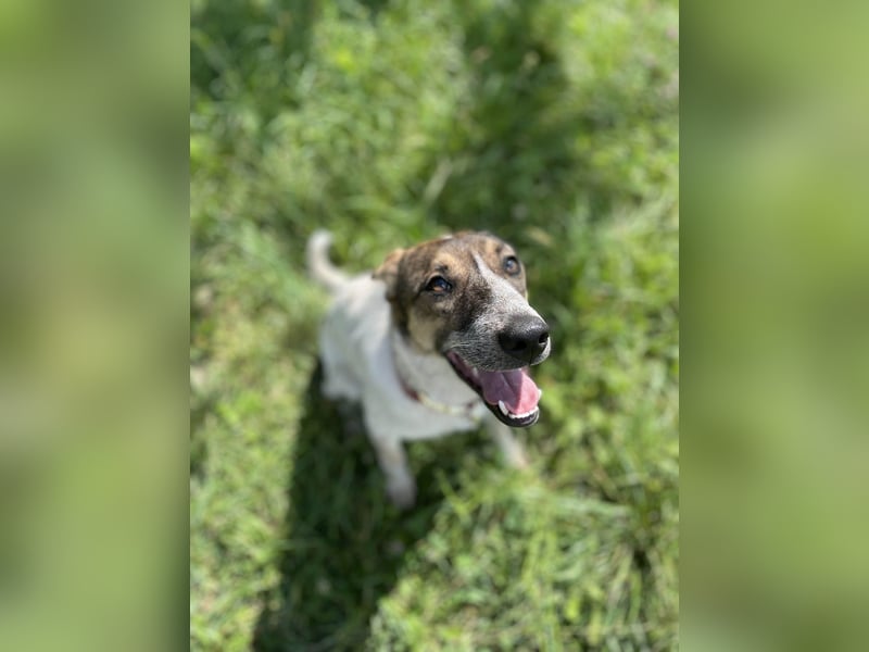 Aufgeschlossene Freya sucht liebe Familie
