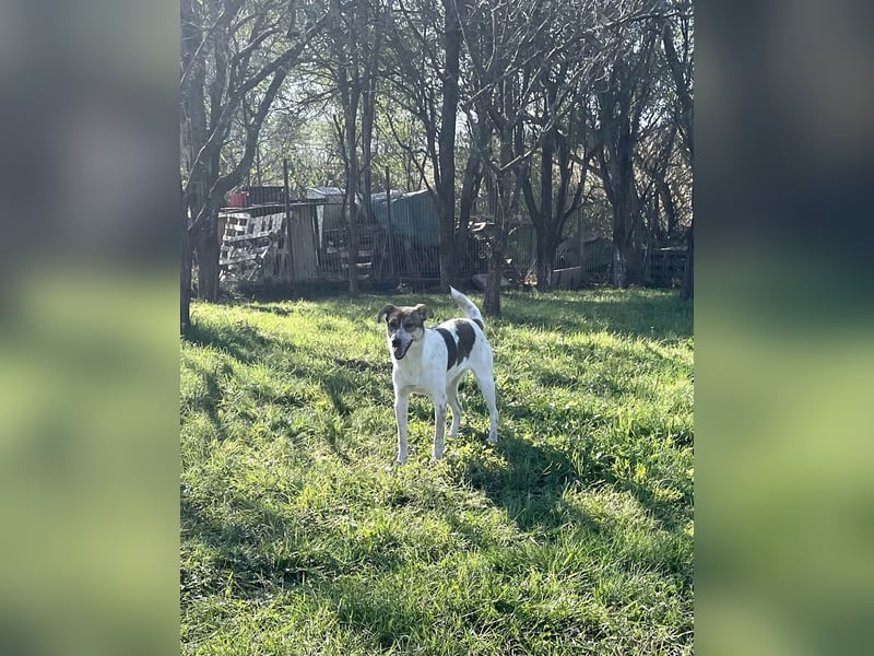 Aufgeschlossene Freya sucht liebe Familie