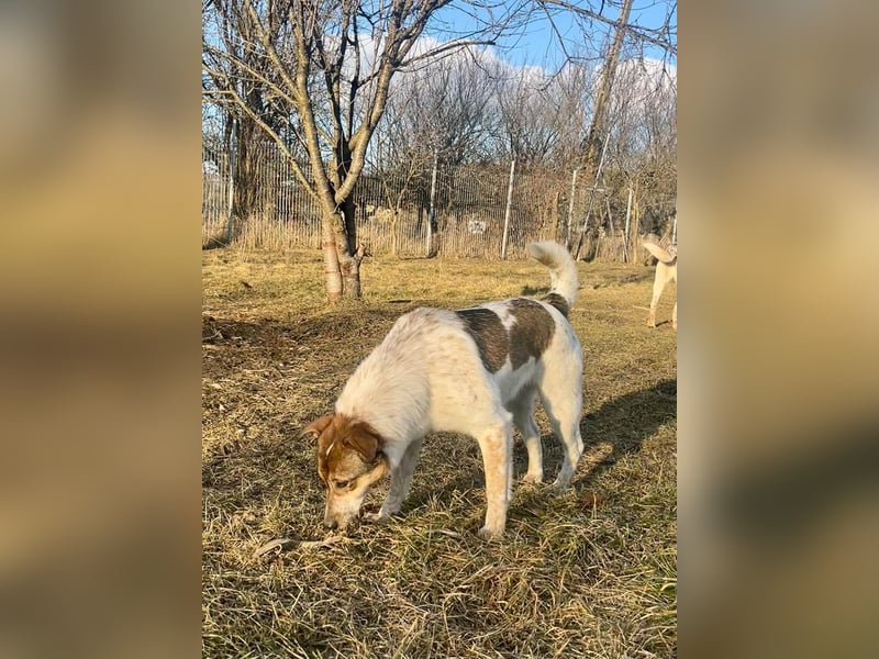 Aufgeschlossene Freya sucht liebe Familie