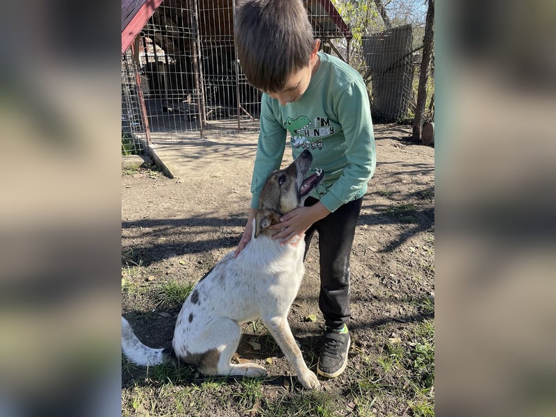 Aufgeschlossene Freya sucht liebe Familie