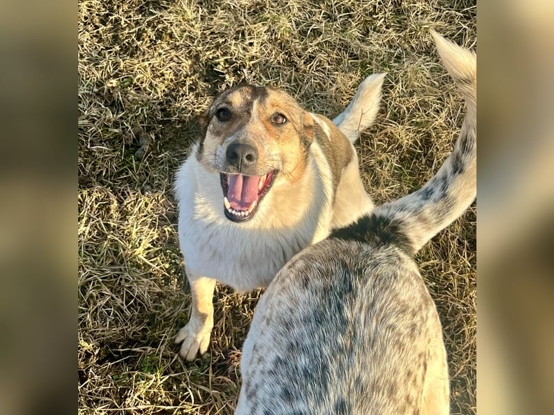 Aufgeschlossene Freya sucht liebe Familie