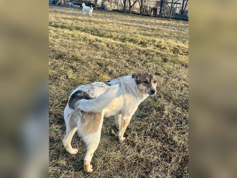 Aufgeschlossene Freya sucht liebe Familie