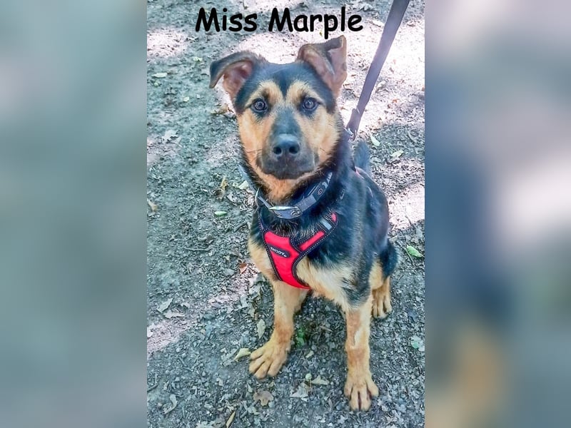 Miss Marple