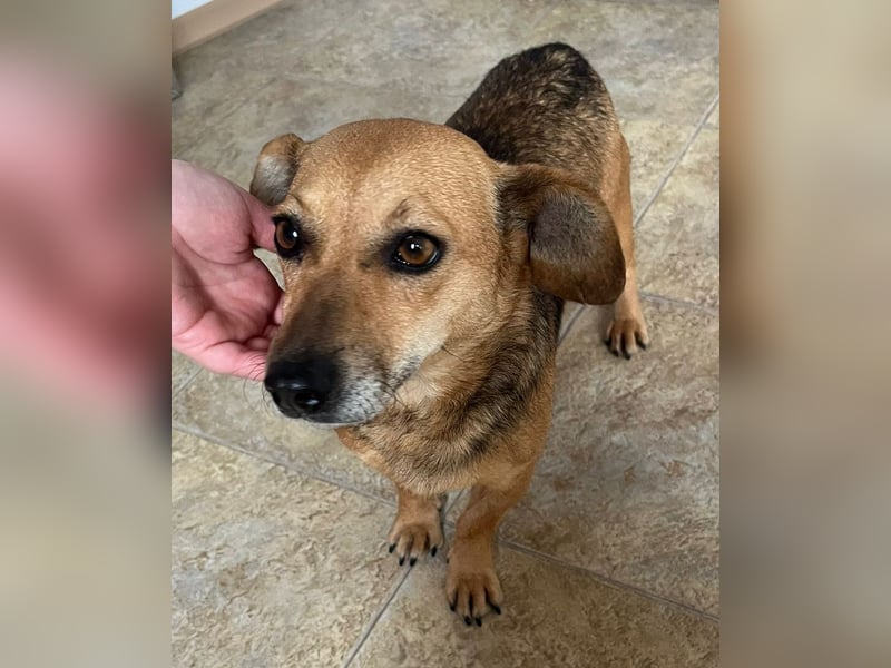 Peaches sucht ihre Familie