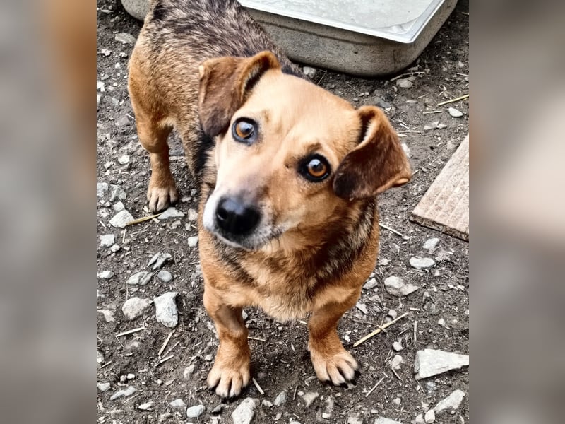 Peaches sucht ihre Familie