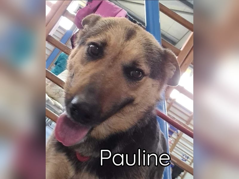 Pauline