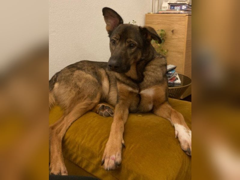 Nelli wartet in 81927 München auf Dich!