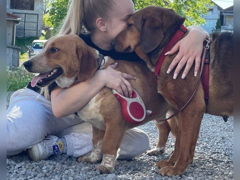 Mama Reina: pures Fellherz aus Liebe