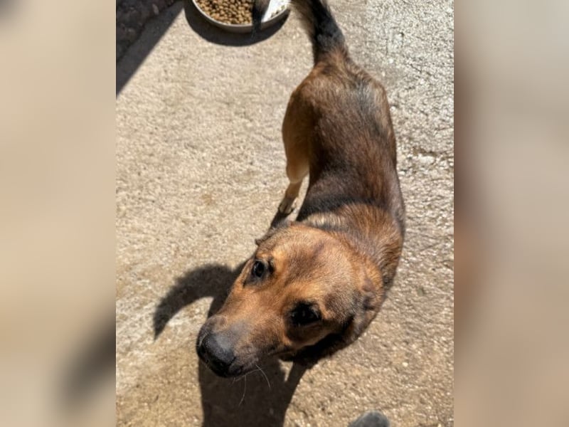 CHIARA❤️charmant, sozial, offenherzig und sucht dringend ihr Für-Immer-Nest