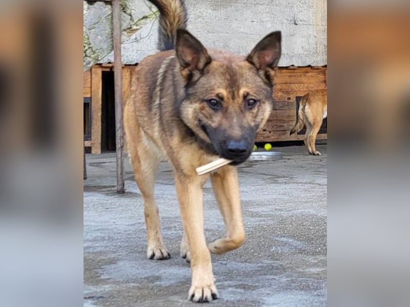CHIARA❤️charmant, sozial, offenherzig und sucht dringend ihr Für-Immer-Nest