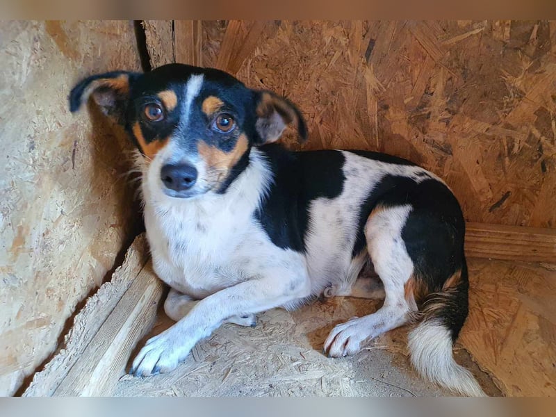 Millie die zarte Schönheit