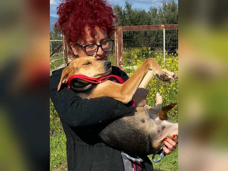  NIKA – eine sanfte Mama sucht ihr eigenes Glück 