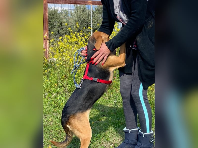  NIKA – eine sanfte Mama sucht ihr eigenes Glück 