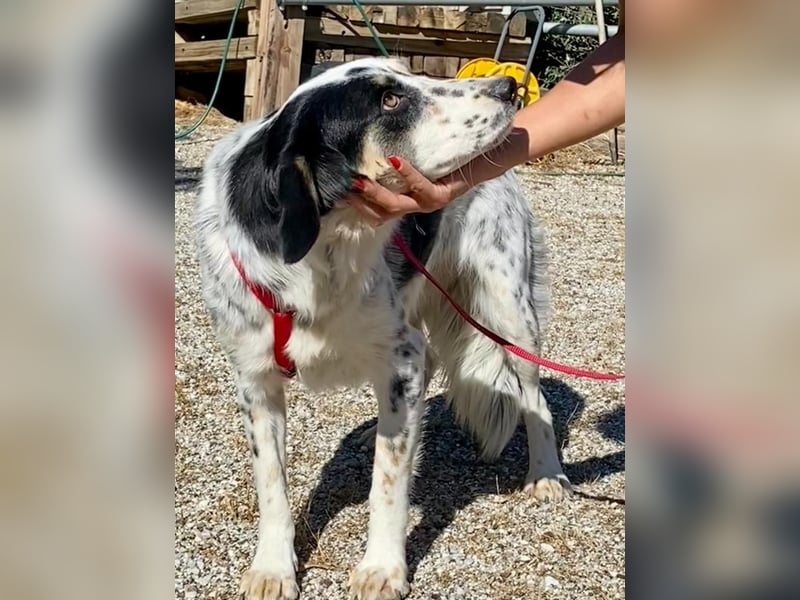  WENDY – Eine sanfte Mama auf der Suche nach ihrem Glück ✨