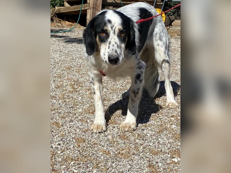  WENDY – Eine sanfte Mama auf der Suche nach ihrem Glück ✨