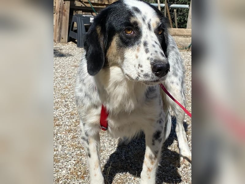  WENDY – Eine sanfte Mama auf der Suche nach ihrem Glück ✨