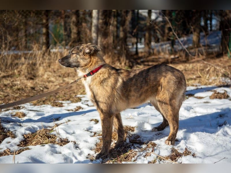 YUMA, *geb. 08/2024 - wunderschönes Mädchen sitzt schon auf gepacktem Koffer