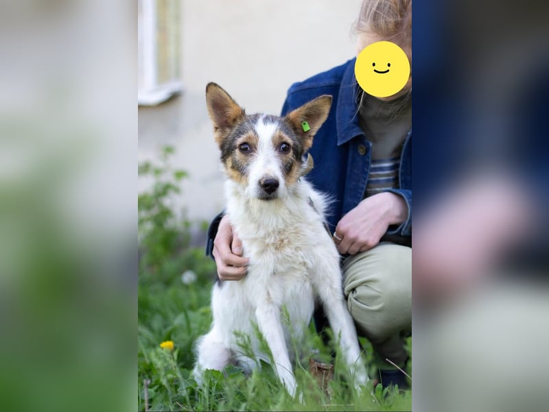 GLORIA - der Name ist Programm (Ukraine)