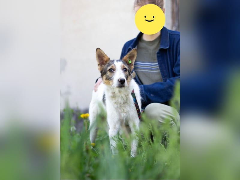 GLORIA - der Name ist Programm (Ukraine)