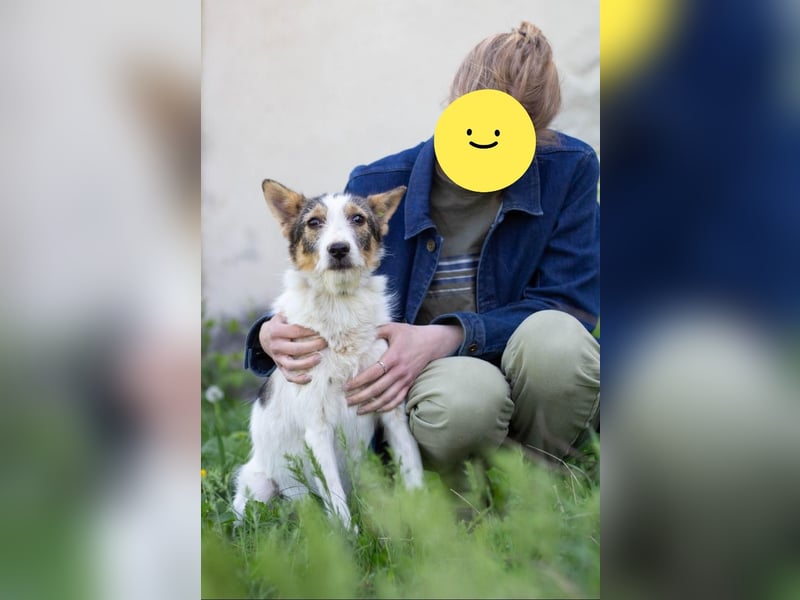 GLORIA - der Name ist Programm (Ukraine)