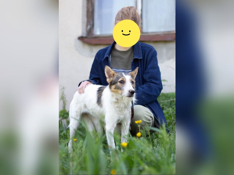 GLORIA - der Name ist Programm (Ukraine)