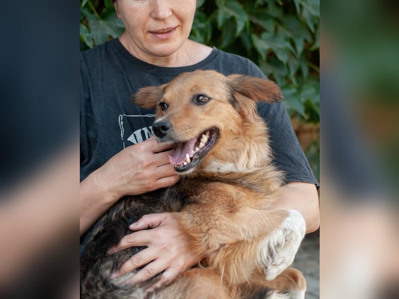 ALBA bezaubert mit ihrem sanften Charakter (Ukraine)