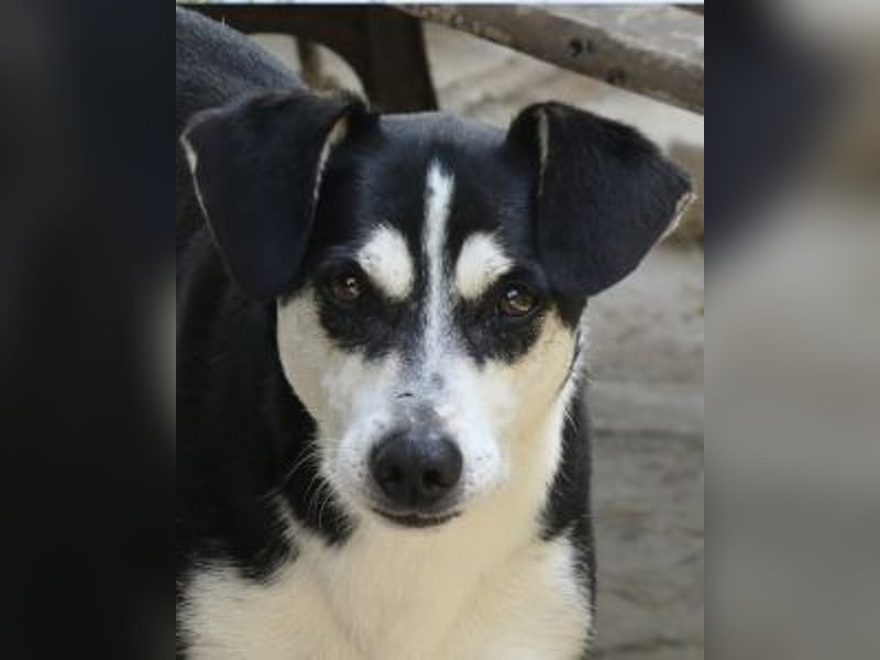 Nikita - Still, übersehen und dabei so besonders