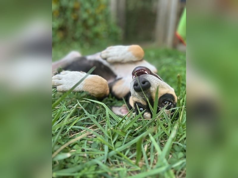Sandra - auf der Suche nach dem großen Glück