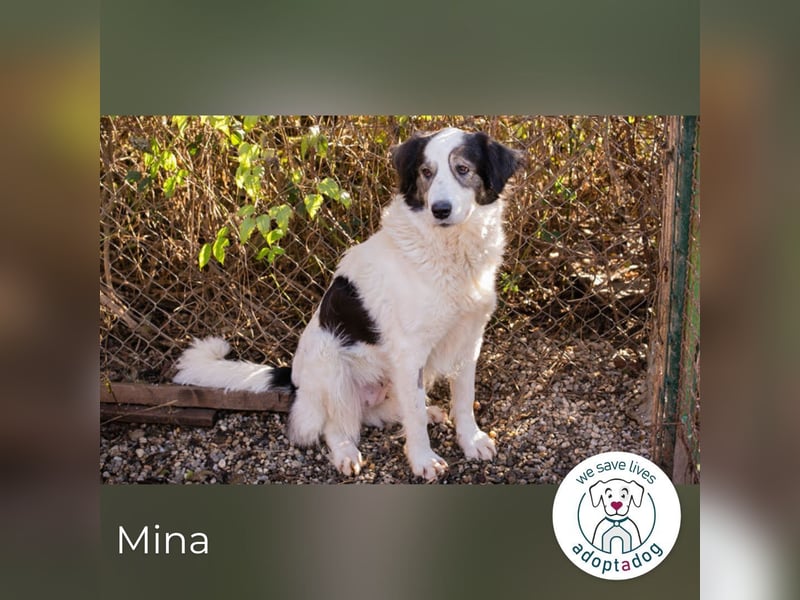 Mina: Ruhige Seele mit großem Herz