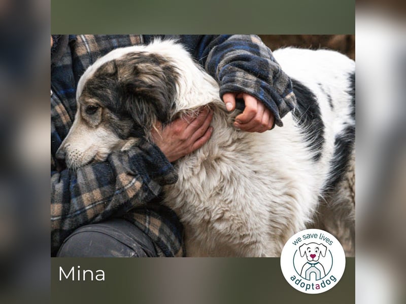 Mina: Ruhige Seele mit großem Herz