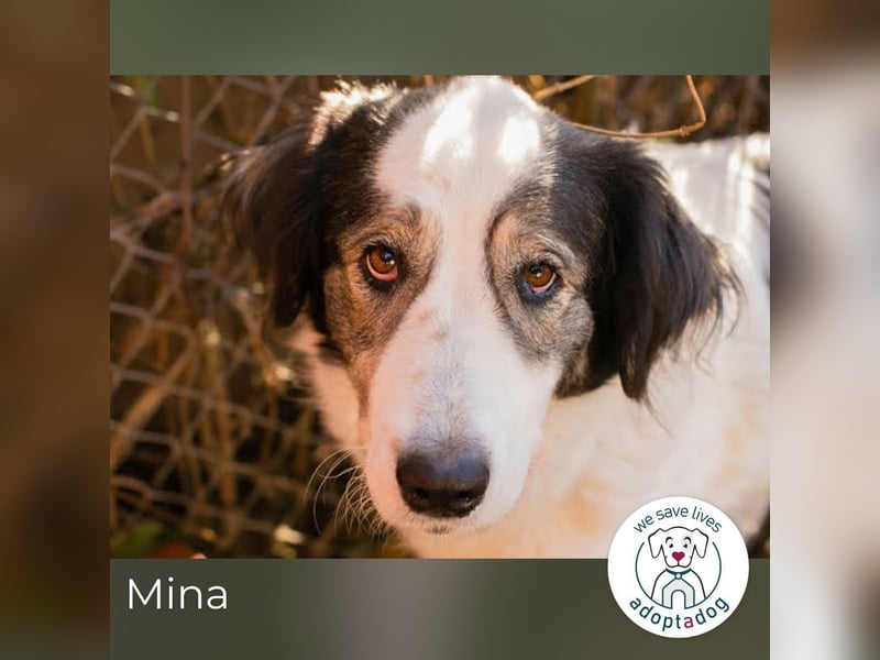 Mina: Ruhige Seele mit großem Herz