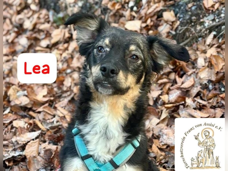 LEA - möchtest DU mit mir kuscheln?