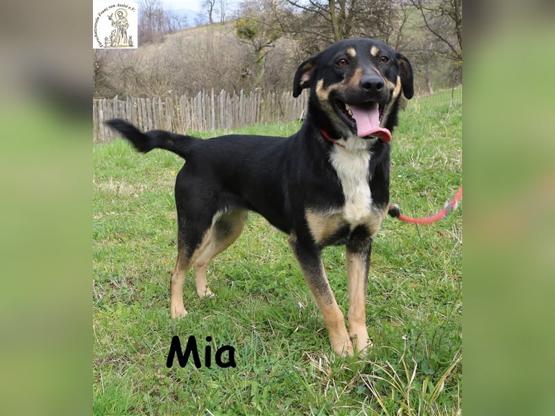 Mia - bereit dein Herz zu erobern