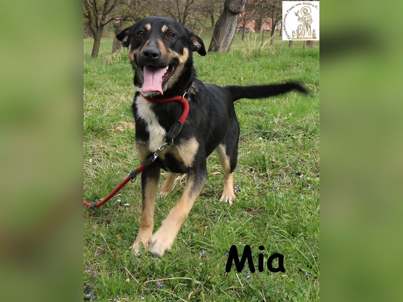 Mia - bereit dein Herz zu erobern