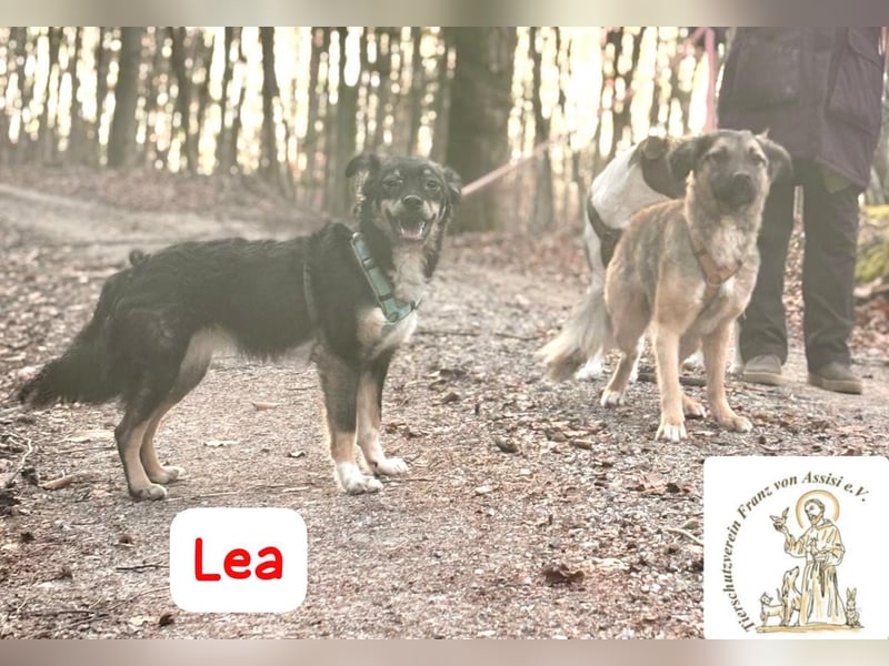 LEA - möchtest DU mit mir kuscheln?