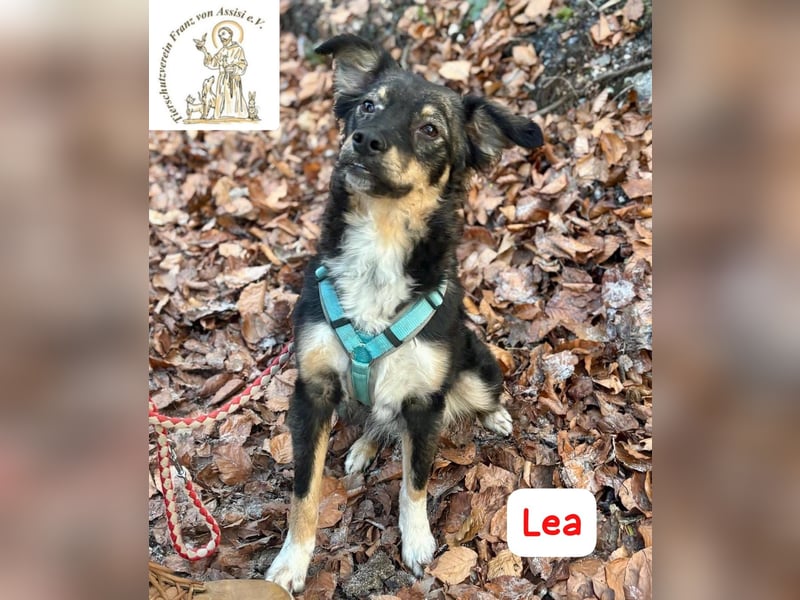 LEA - möchtest DU mit mir kuscheln?