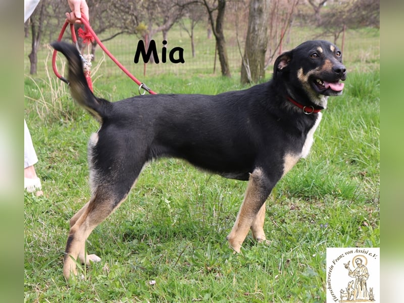 Mia - bereit dein Herz zu erobern