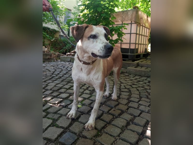 Flekica ist voller Tatendrang