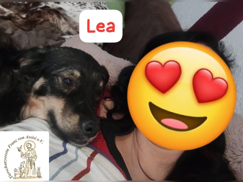 LEA - möchtest DU mit mir kuscheln?