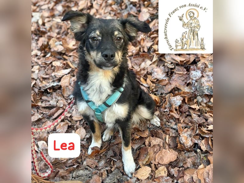 LEA - möchtest DU mit mir kuscheln?