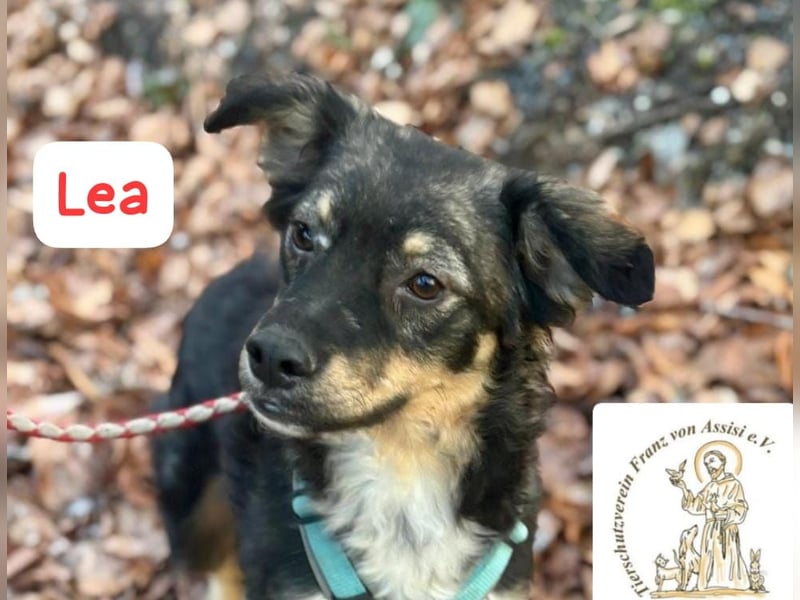 LEA - möchtest DU mit mir kuscheln?