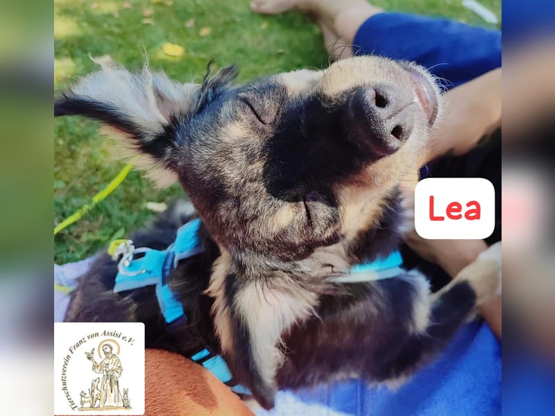 LEA - möchtest DU mit mir kuscheln?