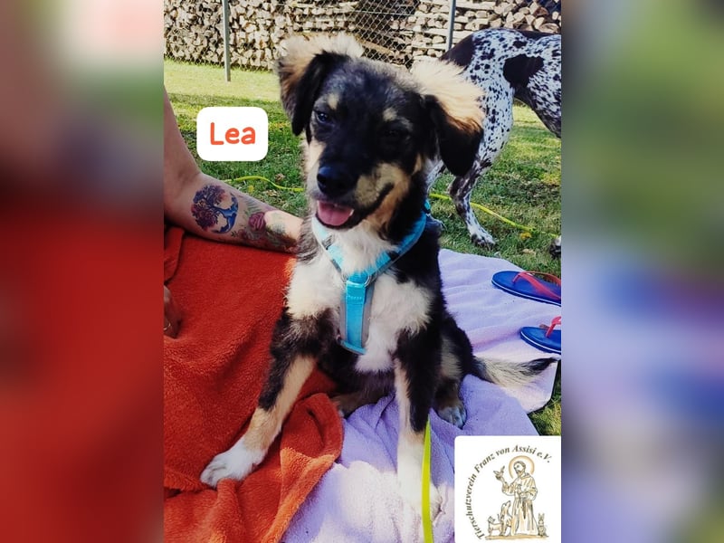 LEA - möchtest DU mit mir kuscheln?
