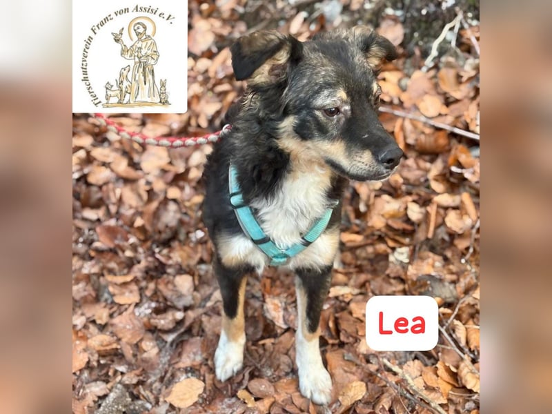 LEA - möchtest DU mit mir kuscheln?