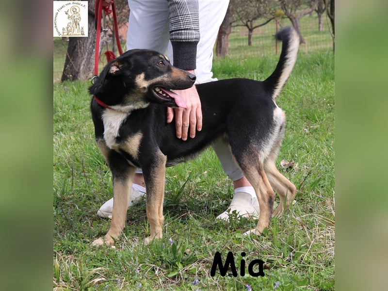 Mia - bereit dein Herz zu erobern